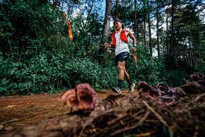 BIB: 
                            <button type="button" onclick="openModal(25878261)" class="btn btn-primary btn-sm float-right btn-popup" data-toggle="modal" data-target=".modal-high-quality">
                        <i class="fas fa-shopping-cart"></i> Add to Cart
                    </button>
                                            <button type="button" onclick="isThisMe(25878261, true)" class="btn btn-success btn-sm float-right btn-popup btn-isme hidden" data-toggle="tooltip" data-placement="bottom" title="นี่คือรูปของคุณใช่ไหม คลิกที่นี่เพื่อเอาเข้าอัลบั้ม">
                        <i class="fas fa-plus"></i> Add to album
                    </button>
                    <button type="button" onclick="isThisMe(25878261, false)" class="btn btn-warning btn-sm float-right btn-popup btn-isnotme hidden">
                        <i class="fas fa-ban"></i> Remove from album
                    </button>