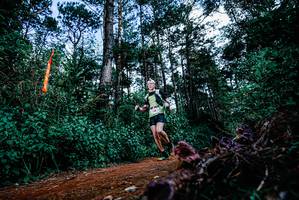 BIB: 
                            <button type="button" onclick="openModal(25878482)" class="btn btn-primary btn-sm float-right btn-popup" data-toggle="modal" data-target=".modal-high-quality">
                        <i class="fas fa-shopping-cart"></i> Add to Cart
                    </button>
                                            <button type="button" onclick="isThisMe(25878482, true)" class="btn btn-success btn-sm float-right btn-popup btn-isme hidden" data-toggle="tooltip" data-placement="bottom" title="นี่คือรูปของคุณใช่ไหม คลิกที่นี่เพื่อเอาเข้าอัลบั้ม">
                        <i class="fas fa-plus"></i> Add to album
                    </button>
                    <button type="button" onclick="isThisMe(25878482, false)" class="btn btn-warning btn-sm float-right btn-popup btn-isnotme hidden">
                        <i class="fas fa-ban"></i> Remove from album
                    </button>