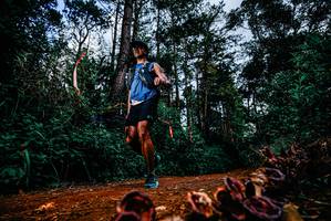 BIB: 
                            <button type="button" onclick="openModal(25882108)" class="btn btn-primary btn-sm float-right btn-popup" data-toggle="modal" data-target=".modal-high-quality">
                        <i class="fas fa-shopping-cart"></i> Add to Cart
                    </button>
                                            <button type="button" onclick="isThisMe(25882108, true)" class="btn btn-success btn-sm float-right btn-popup btn-isme hidden" data-toggle="tooltip" data-placement="bottom" title="นี่คือรูปของคุณใช่ไหม คลิกที่นี่เพื่อเอาเข้าอัลบั้ม">
                        <i class="fas fa-plus"></i> Add to album
                    </button>
                    <button type="button" onclick="isThisMe(25882108, false)" class="btn btn-warning btn-sm float-right btn-popup btn-isnotme hidden">
                        <i class="fas fa-ban"></i> Remove from album
                    </button>