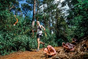 BIB: 
                            <button type="button" onclick="openModal(25878197)" class="btn btn-primary btn-sm float-right btn-popup" data-toggle="modal" data-target=".modal-high-quality">
                        <i class="fas fa-shopping-cart"></i> Add to Cart
                    </button>
                                            <button type="button" onclick="isThisMe(25878197, true)" class="btn btn-success btn-sm float-right btn-popup btn-isme hidden" data-toggle="tooltip" data-placement="bottom" title="นี่คือรูปของคุณใช่ไหม คลิกที่นี่เพื่อเอาเข้าอัลบั้ม">
                        <i class="fas fa-plus"></i> Add to album
                    </button>
                    <button type="button" onclick="isThisMe(25878197, false)" class="btn btn-warning btn-sm float-right btn-popup btn-isnotme hidden">
                        <i class="fas fa-ban"></i> Remove from album
                    </button>