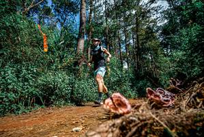 BIB: 
                            <button type="button" onclick="openModal(25878168)" class="btn btn-primary btn-sm float-right btn-popup" data-toggle="modal" data-target=".modal-high-quality">
                        <i class="fas fa-shopping-cart"></i> Add to Cart
                    </button>
                                            <button type="button" onclick="isThisMe(25878168, true)" class="btn btn-success btn-sm float-right btn-popup btn-isme hidden" data-toggle="tooltip" data-placement="bottom" title="นี่คือรูปของคุณใช่ไหม คลิกที่นี่เพื่อเอาเข้าอัลบั้ม">
                        <i class="fas fa-plus"></i> Add to album
                    </button>
                    <button type="button" onclick="isThisMe(25878168, false)" class="btn btn-warning btn-sm float-right btn-popup btn-isnotme hidden">
                        <i class="fas fa-ban"></i> Remove from album
                    </button>