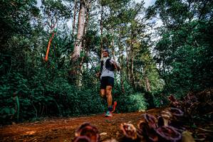 BIB: 
                            <button type="button" onclick="openModal(25880534)" class="btn btn-primary btn-sm float-right btn-popup" data-toggle="modal" data-target=".modal-high-quality">
                        <i class="fas fa-shopping-cart"></i> Add to Cart
                    </button>
                                            <button type="button" onclick="isThisMe(25880534, true)" class="btn btn-success btn-sm float-right btn-popup btn-isme hidden" data-toggle="tooltip" data-placement="bottom" title="นี่คือรูปของคุณใช่ไหม คลิกที่นี่เพื่อเอาเข้าอัลบั้ม">
                        <i class="fas fa-plus"></i> Add to album
                    </button>
                    <button type="button" onclick="isThisMe(25880534, false)" class="btn btn-warning btn-sm float-right btn-popup btn-isnotme hidden">
                        <i class="fas fa-ban"></i> Remove from album
                    </button>