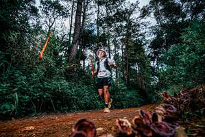 BIB: 
                            <button type="button" onclick="openModal(25881421)" class="btn btn-primary btn-sm float-right btn-popup" data-toggle="modal" data-target=".modal-high-quality">
                        <i class="fas fa-shopping-cart"></i> Add to Cart
                    </button>
                                            <button type="button" onclick="isThisMe(25881421, true)" class="btn btn-success btn-sm float-right btn-popup btn-isme hidden" data-toggle="tooltip" data-placement="bottom" title="นี่คือรูปของคุณใช่ไหม คลิกที่นี่เพื่อเอาเข้าอัลบั้ม">
                        <i class="fas fa-plus"></i> Add to album
                    </button>
                    <button type="button" onclick="isThisMe(25881421, false)" class="btn btn-warning btn-sm float-right btn-popup btn-isnotme hidden">
                        <i class="fas fa-ban"></i> Remove from album
                    </button>