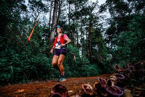 BIB: 
                            <button type="button" onclick="openModal(25879781)" class="btn btn-primary btn-sm float-right btn-popup" data-toggle="modal" data-target=".modal-high-quality">
                        <i class="fas fa-shopping-cart"></i> Add to Cart
                    </button>
                                            <button type="button" onclick="isThisMe(25879781, true)" class="btn btn-success btn-sm float-right btn-popup btn-isme hidden" data-toggle="tooltip" data-placement="bottom" title="นี่คือรูปของคุณใช่ไหม คลิกที่นี่เพื่อเอาเข้าอัลบั้ม">
                        <i class="fas fa-plus"></i> Add to album
                    </button>
                    <button type="button" onclick="isThisMe(25879781, false)" class="btn btn-warning btn-sm float-right btn-popup btn-isnotme hidden">
                        <i class="fas fa-ban"></i> Remove from album
                    </button>