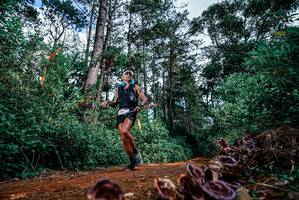 BIB: 
                            <button type="button" onclick="openModal(25878763)" class="btn btn-primary btn-sm float-right btn-popup" data-toggle="modal" data-target=".modal-high-quality">
                        <i class="fas fa-shopping-cart"></i> Add to Cart
                    </button>
                                            <button type="button" onclick="isThisMe(25878763, true)" class="btn btn-success btn-sm float-right btn-popup btn-isme hidden" data-toggle="tooltip" data-placement="bottom" title="นี่คือรูปของคุณใช่ไหม คลิกที่นี่เพื่อเอาเข้าอัลบั้ม">
                        <i class="fas fa-plus"></i> Add to album
                    </button>
                    <button type="button" onclick="isThisMe(25878763, false)" class="btn btn-warning btn-sm float-right btn-popup btn-isnotme hidden">
                        <i class="fas fa-ban"></i> Remove from album
                    </button>