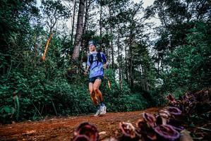 BIB: 
                            <button type="button" onclick="openModal(25879120)" class="btn btn-primary btn-sm float-right btn-popup" data-toggle="modal" data-target=".modal-high-quality">
                        <i class="fas fa-shopping-cart"></i> Add to Cart
                    </button>
                                            <button type="button" onclick="isThisMe(25879120, true)" class="btn btn-success btn-sm float-right btn-popup btn-isme hidden" data-toggle="tooltip" data-placement="bottom" title="นี่คือรูปของคุณใช่ไหม คลิกที่นี่เพื่อเอาเข้าอัลบั้ม">
                        <i class="fas fa-plus"></i> Add to album
                    </button>
                    <button type="button" onclick="isThisMe(25879120, false)" class="btn btn-warning btn-sm float-right btn-popup btn-isnotme hidden">
                        <i class="fas fa-ban"></i> Remove from album
                    </button>