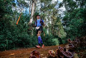 BIB: 
                            <button type="button" onclick="openModal(25880356)" class="btn btn-primary btn-sm float-right btn-popup" data-toggle="modal" data-target=".modal-high-quality">
                        <i class="fas fa-shopping-cart"></i> Add to Cart
                    </button>
                                            <button type="button" onclick="isThisMe(25880356, true)" class="btn btn-success btn-sm float-right btn-popup btn-isme hidden" data-toggle="tooltip" data-placement="bottom" title="นี่คือรูปของคุณใช่ไหม คลิกที่นี่เพื่อเอาเข้าอัลบั้ม">
                        <i class="fas fa-plus"></i> Add to album
                    </button>
                    <button type="button" onclick="isThisMe(25880356, false)" class="btn btn-warning btn-sm float-right btn-popup btn-isnotme hidden">
                        <i class="fas fa-ban"></i> Remove from album
                    </button>