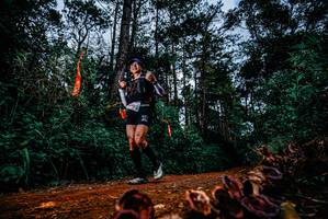 BIB: 
                            <button type="button" onclick="openModal(25881948)" class="btn btn-primary btn-sm float-right btn-popup" data-toggle="modal" data-target=".modal-high-quality">
                        <i class="fas fa-shopping-cart"></i> Add to Cart
                    </button>
                                            <button type="button" onclick="isThisMe(25881948, true)" class="btn btn-success btn-sm float-right btn-popup btn-isme hidden" data-toggle="tooltip" data-placement="bottom" title="นี่คือรูปของคุณใช่ไหม คลิกที่นี่เพื่อเอาเข้าอัลบั้ม">
                        <i class="fas fa-plus"></i> Add to album
                    </button>
                    <button type="button" onclick="isThisMe(25881948, false)" class="btn btn-warning btn-sm float-right btn-popup btn-isnotme hidden">
                        <i class="fas fa-ban"></i> Remove from album
                    </button>