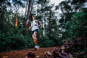 BIB: 
                            <button type="button" onclick="openModal(25878940)" class="btn btn-primary btn-sm float-right btn-popup" data-toggle="modal" data-target=".modal-high-quality">
                        <i class="fas fa-shopping-cart"></i> Add to Cart
                    </button>
                                            <button type="button" onclick="isThisMe(25878940, true)" class="btn btn-success btn-sm float-right btn-popup btn-isme hidden" data-toggle="tooltip" data-placement="bottom" title="นี่คือรูปของคุณใช่ไหม คลิกที่นี่เพื่อเอาเข้าอัลบั้ม">
                        <i class="fas fa-plus"></i> Add to album
                    </button>
                    <button type="button" onclick="isThisMe(25878940, false)" class="btn btn-warning btn-sm float-right btn-popup btn-isnotme hidden">
                        <i class="fas fa-ban"></i> Remove from album
                    </button>