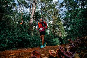 BIB: 
                            <button type="button" onclick="openModal(25880596)" class="btn btn-primary btn-sm float-right btn-popup" data-toggle="modal" data-target=".modal-high-quality">
                        <i class="fas fa-shopping-cart"></i> Add to Cart
                    </button>
                                            <button type="button" onclick="isThisMe(25880596, true)" class="btn btn-success btn-sm float-right btn-popup btn-isme hidden" data-toggle="tooltip" data-placement="bottom" title="นี่คือรูปของคุณใช่ไหม คลิกที่นี่เพื่อเอาเข้าอัลบั้ม">
                        <i class="fas fa-plus"></i> Add to album
                    </button>
                    <button type="button" onclick="isThisMe(25880596, false)" class="btn btn-warning btn-sm float-right btn-popup btn-isnotme hidden">
                        <i class="fas fa-ban"></i> Remove from album
                    </button>