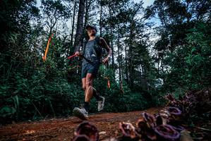 BIB: 
                            <button type="button" onclick="openModal(25879438)" class="btn btn-primary btn-sm float-right btn-popup" data-toggle="modal" data-target=".modal-high-quality">
                        <i class="fas fa-shopping-cart"></i> Add to Cart
                    </button>
                                            <button type="button" onclick="isThisMe(25879438, true)" class="btn btn-success btn-sm float-right btn-popup btn-isme hidden" data-toggle="tooltip" data-placement="bottom" title="นี่คือรูปของคุณใช่ไหม คลิกที่นี่เพื่อเอาเข้าอัลบั้ม">
                        <i class="fas fa-plus"></i> Add to album
                    </button>
                    <button type="button" onclick="isThisMe(25879438, false)" class="btn btn-warning btn-sm float-right btn-popup btn-isnotme hidden">
                        <i class="fas fa-ban"></i> Remove from album
                    </button>