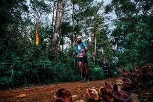 BIB: 
                            <button type="button" onclick="openModal(25881331)" class="btn btn-primary btn-sm float-right btn-popup" data-toggle="modal" data-target=".modal-high-quality">
                        <i class="fas fa-shopping-cart"></i> Add to Cart
                    </button>
                                            <button type="button" onclick="isThisMe(25881331, true)" class="btn btn-success btn-sm float-right btn-popup btn-isme hidden" data-toggle="tooltip" data-placement="bottom" title="นี่คือรูปของคุณใช่ไหม คลิกที่นี่เพื่อเอาเข้าอัลบั้ม">
                        <i class="fas fa-plus"></i> Add to album
                    </button>
                    <button type="button" onclick="isThisMe(25881331, false)" class="btn btn-warning btn-sm float-right btn-popup btn-isnotme hidden">
                        <i class="fas fa-ban"></i> Remove from album
                    </button>