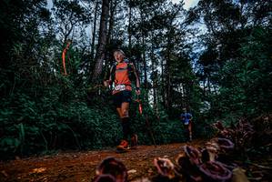 BIB: 
                            <button type="button" onclick="openModal(25880674)" class="btn btn-primary btn-sm float-right btn-popup" data-toggle="modal" data-target=".modal-high-quality">
                        <i class="fas fa-shopping-cart"></i> Add to Cart
                    </button>
                                            <button type="button" onclick="isThisMe(25880674, true)" class="btn btn-success btn-sm float-right btn-popup btn-isme hidden" data-toggle="tooltip" data-placement="bottom" title="นี่คือรูปของคุณใช่ไหม คลิกที่นี่เพื่อเอาเข้าอัลบั้ม">
                        <i class="fas fa-plus"></i> Add to album
                    </button>
                    <button type="button" onclick="isThisMe(25880674, false)" class="btn btn-warning btn-sm float-right btn-popup btn-isnotme hidden">
                        <i class="fas fa-ban"></i> Remove from album
                    </button>