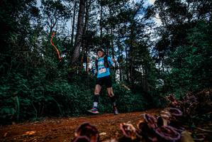 BIB: 
                            <button type="button" onclick="openModal(25880644)" class="btn btn-primary btn-sm float-right btn-popup" data-toggle="modal" data-target=".modal-high-quality">
                        <i class="fas fa-shopping-cart"></i> Add to Cart
                    </button>
                                            <button type="button" onclick="isThisMe(25880644, true)" class="btn btn-success btn-sm float-right btn-popup btn-isme hidden" data-toggle="tooltip" data-placement="bottom" title="นี่คือรูปของคุณใช่ไหม คลิกที่นี่เพื่อเอาเข้าอัลบั้ม">
                        <i class="fas fa-plus"></i> Add to album
                    </button>
                    <button type="button" onclick="isThisMe(25880644, false)" class="btn btn-warning btn-sm float-right btn-popup btn-isnotme hidden">
                        <i class="fas fa-ban"></i> Remove from album
                    </button>