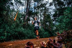 BIB: 
                            <button type="button" onclick="openModal(25881395)" class="btn btn-primary btn-sm float-right btn-popup" data-toggle="modal" data-target=".modal-high-quality">
                        <i class="fas fa-shopping-cart"></i> Add to Cart
                    </button>
                                            <button type="button" onclick="isThisMe(25881395, true)" class="btn btn-success btn-sm float-right btn-popup btn-isme hidden" data-toggle="tooltip" data-placement="bottom" title="นี่คือรูปของคุณใช่ไหม คลิกที่นี่เพื่อเอาเข้าอัลบั้ม">
                        <i class="fas fa-plus"></i> Add to album
                    </button>
                    <button type="button" onclick="isThisMe(25881395, false)" class="btn btn-warning btn-sm float-right btn-popup btn-isnotme hidden">
                        <i class="fas fa-ban"></i> Remove from album
                    </button>