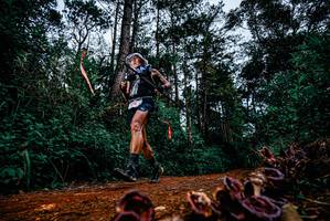 BIB: 
                            <button type="button" onclick="openModal(25879840)" class="btn btn-primary btn-sm float-right btn-popup" data-toggle="modal" data-target=".modal-high-quality">
                        <i class="fas fa-shopping-cart"></i> Add to Cart
                    </button>
                                            <button type="button" onclick="isThisMe(25879840, true)" class="btn btn-success btn-sm float-right btn-popup btn-isme hidden" data-toggle="tooltip" data-placement="bottom" title="นี่คือรูปของคุณใช่ไหม คลิกที่นี่เพื่อเอาเข้าอัลบั้ม">
                        <i class="fas fa-plus"></i> Add to album
                    </button>
                    <button type="button" onclick="isThisMe(25879840, false)" class="btn btn-warning btn-sm float-right btn-popup btn-isnotme hidden">
                        <i class="fas fa-ban"></i> Remove from album
                    </button>