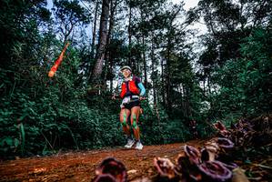 BIB: 
                            <button type="button" onclick="openModal(25879016)" class="btn btn-primary btn-sm float-right btn-popup" data-toggle="modal" data-target=".modal-high-quality">
                        <i class="fas fa-shopping-cart"></i> Add to Cart
                    </button>
                                            <button type="button" onclick="isThisMe(25879016, true)" class="btn btn-success btn-sm float-right btn-popup btn-isme hidden" data-toggle="tooltip" data-placement="bottom" title="นี่คือรูปของคุณใช่ไหม คลิกที่นี่เพื่อเอาเข้าอัลบั้ม">
                        <i class="fas fa-plus"></i> Add to album
                    </button>
                    <button type="button" onclick="isThisMe(25879016, false)" class="btn btn-warning btn-sm float-right btn-popup btn-isnotme hidden">
                        <i class="fas fa-ban"></i> Remove from album
                    </button>