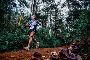 BIB: 
                            <button type="button" onclick="openModal(25879075)" class="btn btn-primary btn-sm float-right btn-popup" data-toggle="modal" data-target=".modal-high-quality">
                        <i class="fas fa-shopping-cart"></i> Add to Cart
                    </button>
                                            <button type="button" onclick="isThisMe(25879075, true)" class="btn btn-success btn-sm float-right btn-popup btn-isme hidden" data-toggle="tooltip" data-placement="bottom" title="นี่คือรูปของคุณใช่ไหม คลิกที่นี่เพื่อเอาเข้าอัลบั้ม">
                        <i class="fas fa-plus"></i> Add to album
                    </button>
                    <button type="button" onclick="isThisMe(25879075, false)" class="btn btn-warning btn-sm float-right btn-popup btn-isnotme hidden">
                        <i class="fas fa-ban"></i> Remove from album
                    </button>