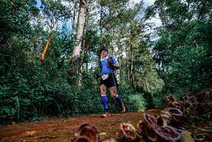 BIB: 
                            <button type="button" onclick="openModal(25880351)" class="btn btn-primary btn-sm float-right btn-popup" data-toggle="modal" data-target=".modal-high-quality">
                        <i class="fas fa-shopping-cart"></i> Add to Cart
                    </button>
                                            <button type="button" onclick="isThisMe(25880351, true)" class="btn btn-success btn-sm float-right btn-popup btn-isme hidden" data-toggle="tooltip" data-placement="bottom" title="นี่คือรูปของคุณใช่ไหม คลิกที่นี่เพื่อเอาเข้าอัลบั้ม">
                        <i class="fas fa-plus"></i> Add to album
                    </button>
                    <button type="button" onclick="isThisMe(25880351, false)" class="btn btn-warning btn-sm float-right btn-popup btn-isnotme hidden">
                        <i class="fas fa-ban"></i> Remove from album
                    </button>