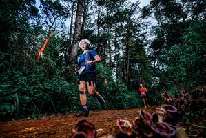 BIB: 
                            <button type="button" onclick="openModal(25879713)" class="btn btn-primary btn-sm float-right btn-popup" data-toggle="modal" data-target=".modal-high-quality">
                        <i class="fas fa-shopping-cart"></i> Add to Cart
                    </button>
                                            <button type="button" onclick="isThisMe(25879713, true)" class="btn btn-success btn-sm float-right btn-popup btn-isme hidden" data-toggle="tooltip" data-placement="bottom" title="นี่คือรูปของคุณใช่ไหม คลิกที่นี่เพื่อเอาเข้าอัลบั้ม">
                        <i class="fas fa-plus"></i> Add to album
                    </button>
                    <button type="button" onclick="isThisMe(25879713, false)" class="btn btn-warning btn-sm float-right btn-popup btn-isnotme hidden">
                        <i class="fas fa-ban"></i> Remove from album
                    </button>