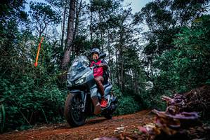 BIB: 
                            <button type="button" onclick="openModal(25878657)" class="btn btn-primary btn-sm float-right btn-popup" data-toggle="modal" data-target=".modal-high-quality">
                        <i class="fas fa-shopping-cart"></i> Add to Cart
                    </button>
                                            <button type="button" onclick="isThisMe(25878657, true)" class="btn btn-success btn-sm float-right btn-popup btn-isme hidden" data-toggle="tooltip" data-placement="bottom" title="นี่คือรูปของคุณใช่ไหม คลิกที่นี่เพื่อเอาเข้าอัลบั้ม">
                        <i class="fas fa-plus"></i> Add to album
                    </button>
                    <button type="button" onclick="isThisMe(25878657, false)" class="btn btn-warning btn-sm float-right btn-popup btn-isnotme hidden">
                        <i class="fas fa-ban"></i> Remove from album
                    </button>