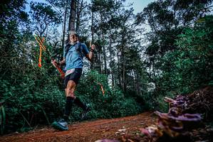 BIB: 
                            <button type="button" onclick="openModal(25878652)" class="btn btn-primary btn-sm float-right btn-popup" data-toggle="modal" data-target=".modal-high-quality">
                        <i class="fas fa-shopping-cart"></i> Add to Cart
                    </button>
                                            <button type="button" onclick="isThisMe(25878652, true)" class="btn btn-success btn-sm float-right btn-popup btn-isme hidden" data-toggle="tooltip" data-placement="bottom" title="นี่คือรูปของคุณใช่ไหม คลิกที่นี่เพื่อเอาเข้าอัลบั้ม">
                        <i class="fas fa-plus"></i> Add to album
                    </button>
                    <button type="button" onclick="isThisMe(25878652, false)" class="btn btn-warning btn-sm float-right btn-popup btn-isnotme hidden">
                        <i class="fas fa-ban"></i> Remove from album
                    </button>