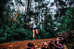 BIB: 
                            <button type="button" onclick="openModal(25879372)" class="btn btn-primary btn-sm float-right btn-popup" data-toggle="modal" data-target=".modal-high-quality">
                        <i class="fas fa-shopping-cart"></i> Add to Cart
                    </button>
                                            <button type="button" onclick="isThisMe(25879372, true)" class="btn btn-success btn-sm float-right btn-popup btn-isme hidden" data-toggle="tooltip" data-placement="bottom" title="นี่คือรูปของคุณใช่ไหม คลิกที่นี่เพื่อเอาเข้าอัลบั้ม">
                        <i class="fas fa-plus"></i> Add to album
                    </button>
                    <button type="button" onclick="isThisMe(25879372, false)" class="btn btn-warning btn-sm float-right btn-popup btn-isnotme hidden">
                        <i class="fas fa-ban"></i> Remove from album
                    </button>