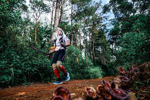 BIB: 
                            <button type="button" onclick="openModal(25880019)" class="btn btn-primary btn-sm float-right btn-popup" data-toggle="modal" data-target=".modal-high-quality">
                        <i class="fas fa-shopping-cart"></i> Add to Cart
                    </button>
                                            <button type="button" onclick="isThisMe(25880019, true)" class="btn btn-success btn-sm float-right btn-popup btn-isme hidden" data-toggle="tooltip" data-placement="bottom" title="นี่คือรูปของคุณใช่ไหม คลิกที่นี่เพื่อเอาเข้าอัลบั้ม">
                        <i class="fas fa-plus"></i> Add to album
                    </button>
                    <button type="button" onclick="isThisMe(25880019, false)" class="btn btn-warning btn-sm float-right btn-popup btn-isnotme hidden">
                        <i class="fas fa-ban"></i> Remove from album
                    </button>