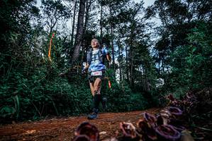 BIB: 
                            <button type="button" onclick="openModal(25879543)" class="btn btn-primary btn-sm float-right btn-popup" data-toggle="modal" data-target=".modal-high-quality">
                        <i class="fas fa-shopping-cart"></i> Add to Cart
                    </button>
                                            <button type="button" onclick="isThisMe(25879543, true)" class="btn btn-success btn-sm float-right btn-popup btn-isme hidden" data-toggle="tooltip" data-placement="bottom" title="นี่คือรูปของคุณใช่ไหม คลิกที่นี่เพื่อเอาเข้าอัลบั้ม">
                        <i class="fas fa-plus"></i> Add to album
                    </button>
                    <button type="button" onclick="isThisMe(25879543, false)" class="btn btn-warning btn-sm float-right btn-popup btn-isnotme hidden">
                        <i class="fas fa-ban"></i> Remove from album
                    </button>