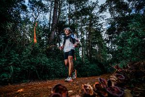 BIB: 
                            <button type="button" onclick="openModal(25882342)" class="btn btn-primary btn-sm float-right btn-popup" data-toggle="modal" data-target=".modal-high-quality">
                        <i class="fas fa-shopping-cart"></i> Add to Cart
                    </button>
                                            <button type="button" onclick="isThisMe(25882342, true)" class="btn btn-success btn-sm float-right btn-popup btn-isme hidden" data-toggle="tooltip" data-placement="bottom" title="นี่คือรูปของคุณใช่ไหม คลิกที่นี่เพื่อเอาเข้าอัลบั้ม">
                        <i class="fas fa-plus"></i> Add to album
                    </button>
                    <button type="button" onclick="isThisMe(25882342, false)" class="btn btn-warning btn-sm float-right btn-popup btn-isnotme hidden">
                        <i class="fas fa-ban"></i> Remove from album
                    </button>