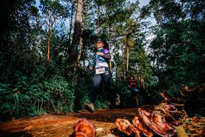 BIB: 
                            <button type="button" onclick="openModal(25882317)" class="btn btn-primary btn-sm float-right btn-popup" data-toggle="modal" data-target=".modal-high-quality">
                        <i class="fas fa-shopping-cart"></i> Add to Cart
                    </button>
                                            <button type="button" onclick="isThisMe(25882317, true)" class="btn btn-success btn-sm float-right btn-popup btn-isme hidden" data-toggle="tooltip" data-placement="bottom" title="นี่คือรูปของคุณใช่ไหม คลิกที่นี่เพื่อเอาเข้าอัลบั้ม">
                        <i class="fas fa-plus"></i> Add to album
                    </button>
                    <button type="button" onclick="isThisMe(25882317, false)" class="btn btn-warning btn-sm float-right btn-popup btn-isnotme hidden">
                        <i class="fas fa-ban"></i> Remove from album
                    </button>