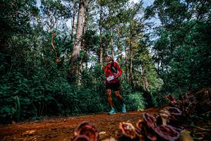 BIB: 
                            <button type="button" onclick="openModal(25880592)" class="btn btn-primary btn-sm float-right btn-popup" data-toggle="modal" data-target=".modal-high-quality">
                        <i class="fas fa-shopping-cart"></i> Add to Cart
                    </button>
                                            <button type="button" onclick="isThisMe(25880592, true)" class="btn btn-success btn-sm float-right btn-popup btn-isme hidden" data-toggle="tooltip" data-placement="bottom" title="นี่คือรูปของคุณใช่ไหม คลิกที่นี่เพื่อเอาเข้าอัลบั้ม">
                        <i class="fas fa-plus"></i> Add to album
                    </button>
                    <button type="button" onclick="isThisMe(25880592, false)" class="btn btn-warning btn-sm float-right btn-popup btn-isnotme hidden">
                        <i class="fas fa-ban"></i> Remove from album
                    </button>