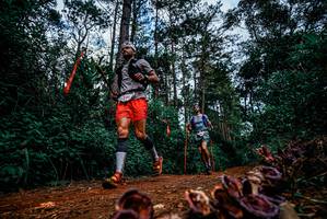 BIB: 
                            <button type="button" onclick="openModal(25881538)" class="btn btn-primary btn-sm float-right btn-popup" data-toggle="modal" data-target=".modal-high-quality">
                        <i class="fas fa-shopping-cart"></i> Add to Cart
                    </button>
                                            <button type="button" onclick="isThisMe(25881538, true)" class="btn btn-success btn-sm float-right btn-popup btn-isme hidden" data-toggle="tooltip" data-placement="bottom" title="นี่คือรูปของคุณใช่ไหม คลิกที่นี่เพื่อเอาเข้าอัลบั้ม">
                        <i class="fas fa-plus"></i> Add to album
                    </button>
                    <button type="button" onclick="isThisMe(25881538, false)" class="btn btn-warning btn-sm float-right btn-popup btn-isnotme hidden">
                        <i class="fas fa-ban"></i> Remove from album
                    </button>