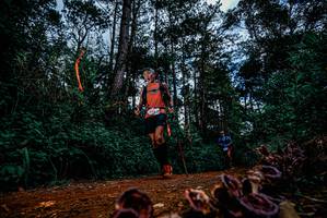 BIB: 
                            <button type="button" onclick="openModal(25880676)" class="btn btn-primary btn-sm float-right btn-popup" data-toggle="modal" data-target=".modal-high-quality">
                        <i class="fas fa-shopping-cart"></i> Add to Cart
                    </button>
                                            <button type="button" onclick="isThisMe(25880676, true)" class="btn btn-success btn-sm float-right btn-popup btn-isme hidden" data-toggle="tooltip" data-placement="bottom" title="นี่คือรูปของคุณใช่ไหม คลิกที่นี่เพื่อเอาเข้าอัลบั้ม">
                        <i class="fas fa-plus"></i> Add to album
                    </button>
                    <button type="button" onclick="isThisMe(25880676, false)" class="btn btn-warning btn-sm float-right btn-popup btn-isnotme hidden">
                        <i class="fas fa-ban"></i> Remove from album
                    </button>