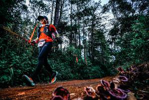 BIB: 
                            <button type="button" onclick="openModal(25879408)" class="btn btn-primary btn-sm float-right btn-popup" data-toggle="modal" data-target=".modal-high-quality">
                        <i class="fas fa-shopping-cart"></i> Add to Cart
                    </button>
                                            <button type="button" onclick="isThisMe(25879408, true)" class="btn btn-success btn-sm float-right btn-popup btn-isme hidden" data-toggle="tooltip" data-placement="bottom" title="นี่คือรูปของคุณใช่ไหม คลิกที่นี่เพื่อเอาเข้าอัลบั้ม">
                        <i class="fas fa-plus"></i> Add to album
                    </button>
                    <button type="button" onclick="isThisMe(25879408, false)" class="btn btn-warning btn-sm float-right btn-popup btn-isnotme hidden">
                        <i class="fas fa-ban"></i> Remove from album
                    </button>