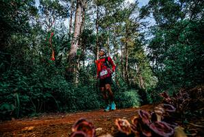 BIB: 
                            <button type="button" onclick="openModal(25880593)" class="btn btn-primary btn-sm float-right btn-popup" data-toggle="modal" data-target=".modal-high-quality">
                        <i class="fas fa-shopping-cart"></i> Add to Cart
                    </button>
                                            <button type="button" onclick="isThisMe(25880593, true)" class="btn btn-success btn-sm float-right btn-popup btn-isme hidden" data-toggle="tooltip" data-placement="bottom" title="นี่คือรูปของคุณใช่ไหม คลิกที่นี่เพื่อเอาเข้าอัลบั้ม">
                        <i class="fas fa-plus"></i> Add to album
                    </button>
                    <button type="button" onclick="isThisMe(25880593, false)" class="btn btn-warning btn-sm float-right btn-popup btn-isnotme hidden">
                        <i class="fas fa-ban"></i> Remove from album
                    </button>