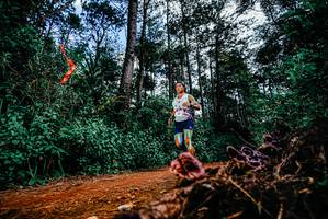 BIB: 
                            <button type="button" onclick="openModal(25878119)" class="btn btn-primary btn-sm float-right btn-popup" data-toggle="modal" data-target=".modal-high-quality">
                        <i class="fas fa-shopping-cart"></i> Add to Cart
                    </button>
                                            <button type="button" onclick="isThisMe(25878119, true)" class="btn btn-success btn-sm float-right btn-popup btn-isme hidden" data-toggle="tooltip" data-placement="bottom" title="นี่คือรูปของคุณใช่ไหม คลิกที่นี่เพื่อเอาเข้าอัลบั้ม">
                        <i class="fas fa-plus"></i> Add to album
                    </button>
                    <button type="button" onclick="isThisMe(25878119, false)" class="btn btn-warning btn-sm float-right btn-popup btn-isnotme hidden">
                        <i class="fas fa-ban"></i> Remove from album
                    </button>