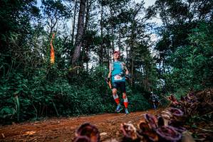 BIB: 
                            <button type="button" onclick="openModal(25880893)" class="btn btn-primary btn-sm float-right btn-popup" data-toggle="modal" data-target=".modal-high-quality">
                        <i class="fas fa-shopping-cart"></i> Add to Cart
                    </button>
                                            <button type="button" onclick="isThisMe(25880893, true)" class="btn btn-success btn-sm float-right btn-popup btn-isme hidden" data-toggle="tooltip" data-placement="bottom" title="นี่คือรูปของคุณใช่ไหม คลิกที่นี่เพื่อเอาเข้าอัลบั้ม">
                        <i class="fas fa-plus"></i> Add to album
                    </button>
                    <button type="button" onclick="isThisMe(25880893, false)" class="btn btn-warning btn-sm float-right btn-popup btn-isnotme hidden">
                        <i class="fas fa-ban"></i> Remove from album
                    </button>