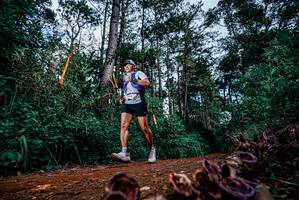 BIB: 
                            <button type="button" onclick="openModal(25879620)" class="btn btn-primary btn-sm float-right btn-popup" data-toggle="modal" data-target=".modal-high-quality">
                        <i class="fas fa-shopping-cart"></i> Add to Cart
                    </button>
                                            <button type="button" onclick="isThisMe(25879620, true)" class="btn btn-success btn-sm float-right btn-popup btn-isme hidden" data-toggle="tooltip" data-placement="bottom" title="นี่คือรูปของคุณใช่ไหม คลิกที่นี่เพื่อเอาเข้าอัลบั้ม">
                        <i class="fas fa-plus"></i> Add to album
                    </button>
                    <button type="button" onclick="isThisMe(25879620, false)" class="btn btn-warning btn-sm float-right btn-popup btn-isnotme hidden">
                        <i class="fas fa-ban"></i> Remove from album
                    </button>