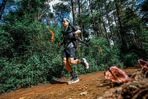 BIB: 
                            <button type="button" onclick="openModal(25878083)" class="btn btn-primary btn-sm float-right btn-popup" data-toggle="modal" data-target=".modal-high-quality">
                        <i class="fas fa-shopping-cart"></i> Add to Cart
                    </button>
                                            <button type="button" onclick="isThisMe(25878083, true)" class="btn btn-success btn-sm float-right btn-popup btn-isme hidden" data-toggle="tooltip" data-placement="bottom" title="นี่คือรูปของคุณใช่ไหม คลิกที่นี่เพื่อเอาเข้าอัลบั้ม">
                        <i class="fas fa-plus"></i> Add to album
                    </button>
                    <button type="button" onclick="isThisMe(25878083, false)" class="btn btn-warning btn-sm float-right btn-popup btn-isnotme hidden">
                        <i class="fas fa-ban"></i> Remove from album
                    </button>