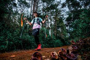 BIB: 
                            <button type="button" onclick="openModal(25881353)" class="btn btn-primary btn-sm float-right btn-popup" data-toggle="modal" data-target=".modal-high-quality">
                        <i class="fas fa-shopping-cart"></i> Add to Cart
                    </button>
                                            <button type="button" onclick="isThisMe(25881353, true)" class="btn btn-success btn-sm float-right btn-popup btn-isme hidden" data-toggle="tooltip" data-placement="bottom" title="นี่คือรูปของคุณใช่ไหม คลิกที่นี่เพื่อเอาเข้าอัลบั้ม">
                        <i class="fas fa-plus"></i> Add to album
                    </button>
                    <button type="button" onclick="isThisMe(25881353, false)" class="btn btn-warning btn-sm float-right btn-popup btn-isnotme hidden">
                        <i class="fas fa-ban"></i> Remove from album
                    </button>