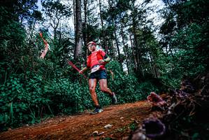 BIB: 
                            <button type="button" onclick="openModal(25878398)" class="btn btn-primary btn-sm float-right btn-popup" data-toggle="modal" data-target=".modal-high-quality">
                        <i class="fas fa-shopping-cart"></i> Add to Cart
                    </button>
                                            <button type="button" onclick="isThisMe(25878398, true)" class="btn btn-success btn-sm float-right btn-popup btn-isme hidden" data-toggle="tooltip" data-placement="bottom" title="นี่คือรูปของคุณใช่ไหม คลิกที่นี่เพื่อเอาเข้าอัลบั้ม">
                        <i class="fas fa-plus"></i> Add to album
                    </button>
                    <button type="button" onclick="isThisMe(25878398, false)" class="btn btn-warning btn-sm float-right btn-popup btn-isnotme hidden">
                        <i class="fas fa-ban"></i> Remove from album
                    </button>