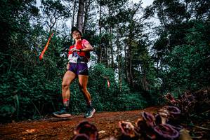 BIB: 
                            <button type="button" onclick="openModal(25879786)" class="btn btn-primary btn-sm float-right btn-popup" data-toggle="modal" data-target=".modal-high-quality">
                        <i class="fas fa-shopping-cart"></i> Add to Cart
                    </button>
                                            <button type="button" onclick="isThisMe(25879786, true)" class="btn btn-success btn-sm float-right btn-popup btn-isme hidden" data-toggle="tooltip" data-placement="bottom" title="นี่คือรูปของคุณใช่ไหม คลิกที่นี่เพื่อเอาเข้าอัลบั้ม">
                        <i class="fas fa-plus"></i> Add to album
                    </button>
                    <button type="button" onclick="isThisMe(25879786, false)" class="btn btn-warning btn-sm float-right btn-popup btn-isnotme hidden">
                        <i class="fas fa-ban"></i> Remove from album
                    </button>