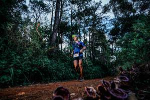 BIB: 
                            <button type="button" onclick="openModal(25879469)" class="btn btn-primary btn-sm float-right btn-popup" data-toggle="modal" data-target=".modal-high-quality">
                        <i class="fas fa-shopping-cart"></i> Add to Cart
                    </button>
                                            <button type="button" onclick="isThisMe(25879469, true)" class="btn btn-success btn-sm float-right btn-popup btn-isme hidden" data-toggle="tooltip" data-placement="bottom" title="นี่คือรูปของคุณใช่ไหม คลิกที่นี่เพื่อเอาเข้าอัลบั้ม">
                        <i class="fas fa-plus"></i> Add to album
                    </button>
                    <button type="button" onclick="isThisMe(25879469, false)" class="btn btn-warning btn-sm float-right btn-popup btn-isnotme hidden">
                        <i class="fas fa-ban"></i> Remove from album
                    </button>