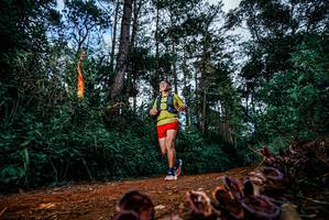 BIB: 
                            <button type="button" onclick="openModal(25881063)" class="btn btn-primary btn-sm float-right btn-popup" data-toggle="modal" data-target=".modal-high-quality">
                        <i class="fas fa-shopping-cart"></i> Add to Cart
                    </button>
                                            <button type="button" onclick="isThisMe(25881063, true)" class="btn btn-success btn-sm float-right btn-popup btn-isme hidden" data-toggle="tooltip" data-placement="bottom" title="นี่คือรูปของคุณใช่ไหม คลิกที่นี่เพื่อเอาเข้าอัลบั้ม">
                        <i class="fas fa-plus"></i> Add to album
                    </button>
                    <button type="button" onclick="isThisMe(25881063, false)" class="btn btn-warning btn-sm float-right btn-popup btn-isnotme hidden">
                        <i class="fas fa-ban"></i> Remove from album
                    </button>