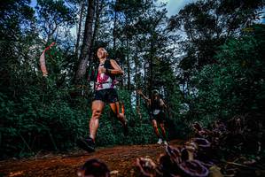 BIB: 
                            <button type="button" onclick="openModal(25878801)" class="btn btn-primary btn-sm float-right btn-popup" data-toggle="modal" data-target=".modal-high-quality">
                        <i class="fas fa-shopping-cart"></i> Add to Cart
                    </button>
                                            <button type="button" onclick="isThisMe(25878801, true)" class="btn btn-success btn-sm float-right btn-popup btn-isme hidden" data-toggle="tooltip" data-placement="bottom" title="นี่คือรูปของคุณใช่ไหม คลิกที่นี่เพื่อเอาเข้าอัลบั้ม">
                        <i class="fas fa-plus"></i> Add to album
                    </button>
                    <button type="button" onclick="isThisMe(25878801, false)" class="btn btn-warning btn-sm float-right btn-popup btn-isnotme hidden">
                        <i class="fas fa-ban"></i> Remove from album
                    </button>