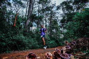 BIB: 
                            <button type="button" onclick="openModal(25878678)" class="btn btn-primary btn-sm float-right btn-popup" data-toggle="modal" data-target=".modal-high-quality">
                        <i class="fas fa-shopping-cart"></i> Add to Cart
                    </button>
                                            <button type="button" onclick="isThisMe(25878678, true)" class="btn btn-success btn-sm float-right btn-popup btn-isme hidden" data-toggle="tooltip" data-placement="bottom" title="นี่คือรูปของคุณใช่ไหม คลิกที่นี่เพื่อเอาเข้าอัลบั้ม">
                        <i class="fas fa-plus"></i> Add to album
                    </button>
                    <button type="button" onclick="isThisMe(25878678, false)" class="btn btn-warning btn-sm float-right btn-popup btn-isnotme hidden">
                        <i class="fas fa-ban"></i> Remove from album
                    </button>