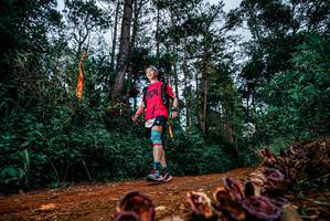 BIB: 
                            <button type="button" onclick="openModal(25881738)" class="btn btn-primary btn-sm float-right btn-popup" data-toggle="modal" data-target=".modal-high-quality">
                        <i class="fas fa-shopping-cart"></i> Add to Cart
                    </button>
                                            <button type="button" onclick="isThisMe(25881738, true)" class="btn btn-success btn-sm float-right btn-popup btn-isme hidden" data-toggle="tooltip" data-placement="bottom" title="นี่คือรูปของคุณใช่ไหม คลิกที่นี่เพื่อเอาเข้าอัลบั้ม">
                        <i class="fas fa-plus"></i> Add to album
                    </button>
                    <button type="button" onclick="isThisMe(25881738, false)" class="btn btn-warning btn-sm float-right btn-popup btn-isnotme hidden">
                        <i class="fas fa-ban"></i> Remove from album
                    </button>