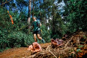 BIB: 
                            <button type="button" onclick="openModal(25878140)" class="btn btn-primary btn-sm float-right btn-popup" data-toggle="modal" data-target=".modal-high-quality">
                        <i class="fas fa-shopping-cart"></i> Add to Cart
                    </button>
                                            <button type="button" onclick="isThisMe(25878140, true)" class="btn btn-success btn-sm float-right btn-popup btn-isme hidden" data-toggle="tooltip" data-placement="bottom" title="นี่คือรูปของคุณใช่ไหม คลิกที่นี่เพื่อเอาเข้าอัลบั้ม">
                        <i class="fas fa-plus"></i> Add to album
                    </button>
                    <button type="button" onclick="isThisMe(25878140, false)" class="btn btn-warning btn-sm float-right btn-popup btn-isnotme hidden">
                        <i class="fas fa-ban"></i> Remove from album
                    </button>