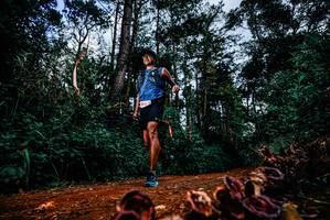 BIB: 
                            <button type="button" onclick="openModal(25882104)" class="btn btn-primary btn-sm float-right btn-popup" data-toggle="modal" data-target=".modal-high-quality">
                        <i class="fas fa-shopping-cart"></i> Add to Cart
                    </button>
                                            <button type="button" onclick="isThisMe(25882104, true)" class="btn btn-success btn-sm float-right btn-popup btn-isme hidden" data-toggle="tooltip" data-placement="bottom" title="นี่คือรูปของคุณใช่ไหม คลิกที่นี่เพื่อเอาเข้าอัลบั้ม">
                        <i class="fas fa-plus"></i> Add to album
                    </button>
                    <button type="button" onclick="isThisMe(25882104, false)" class="btn btn-warning btn-sm float-right btn-popup btn-isnotme hidden">
                        <i class="fas fa-ban"></i> Remove from album
                    </button>